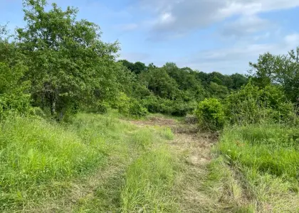 Земельный участок, 1.8 га - фото 1