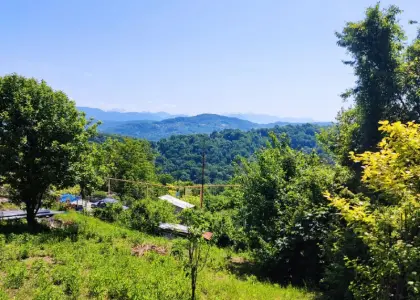 Земельный участок, 6.67 соток - фото 1