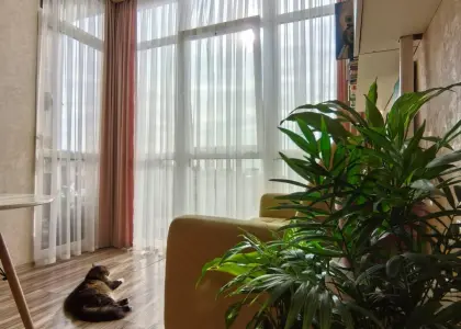 Студия, 25 м² - фото 1