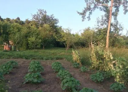 Земельный участок, 36 соток - фото 1