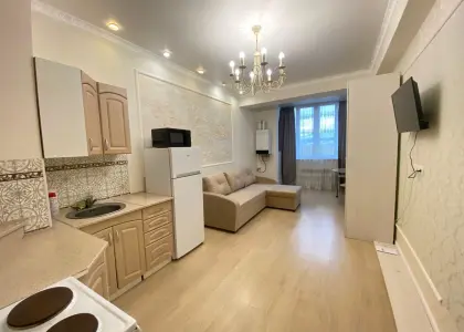 Студия, 27.4 м² - фото 1