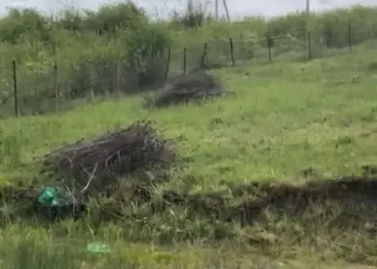 Земельный участок, 6.5 соток - фото 1