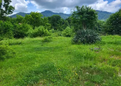 Земельный участок, 10 соток - фото 1