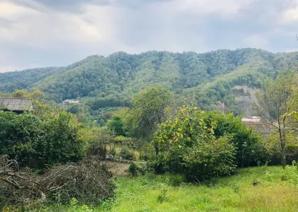 Земельный участок, 12 соток - фото 1