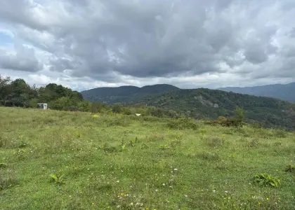 Земельный участок, 200 соток - фото 1