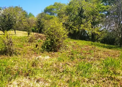 Земельный участок, 23.7 сотки - фото 1