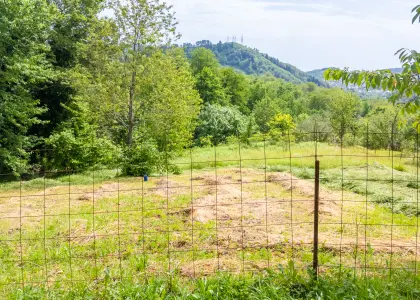 Земельный участок, 10 соток - фото 1