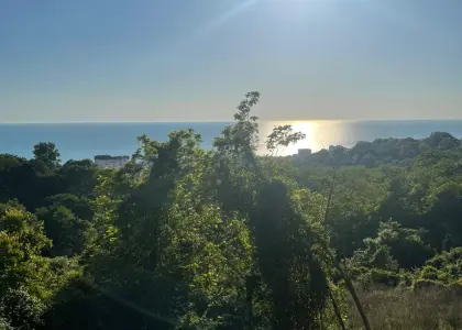 Земельный участок, 9.9 соток - фото 1