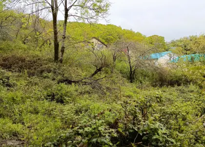 Земельный участок, 4.1 сотки - фото 1