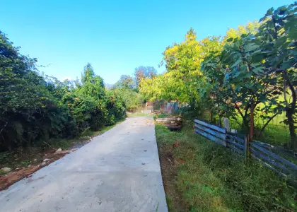 Земельный участок - фото 1