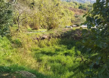 Земельный участок, 11 соток - фото 1