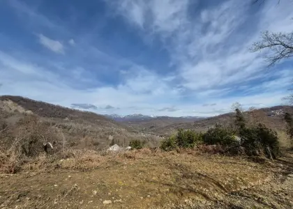 Земельный участок, 96 соток - фото 1