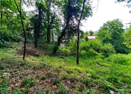 Видовой участок в Сочи! - фото 1