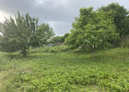 Земельный участок, 12 соток - фото 1