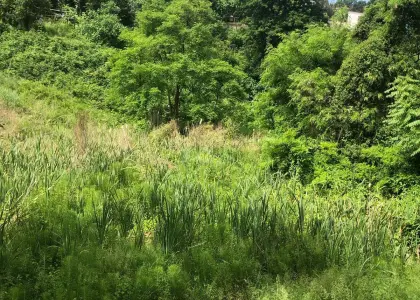 Земельный участок, 10 соток - фото 1