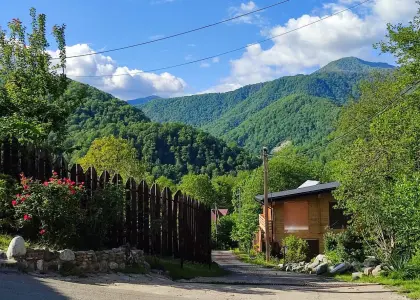 Земельный участок, 37 соток - фото 1