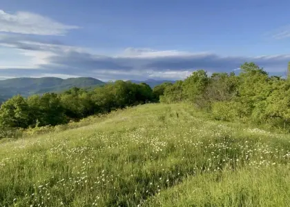 Земельный участок, 200 соток - фото 1