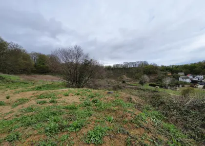 Земельный участок, 35 соток - фото 1