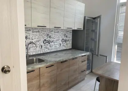 1-комнатная квартира, 25.2 м² - фото 1
