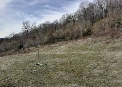 Земельный участок, 4.6 сотки - фото 1