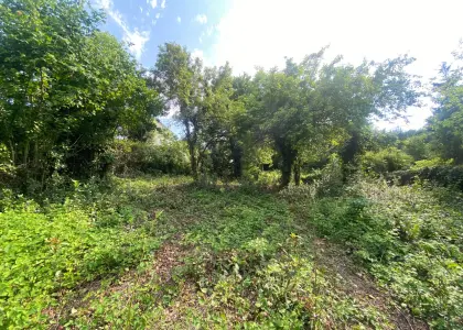 Земельный участок, 5.5 соток - фото 1