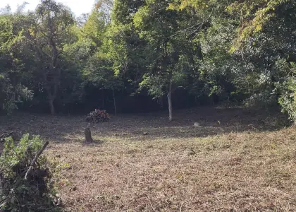 Земельный участок, 5.46 соток - фото 1