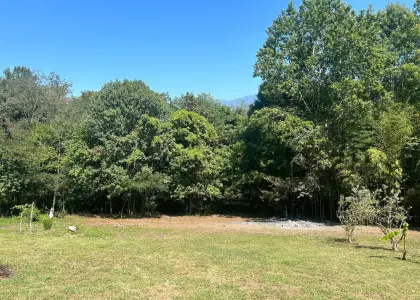 Земельный участок, 4.8 сотки - фото 1