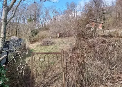 Земельный участок, 5.6 соток - фото 1