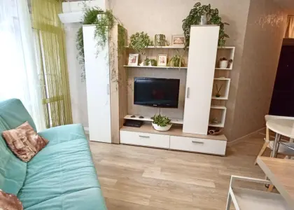 1-комнатная квартира, 30 м² - фото 1