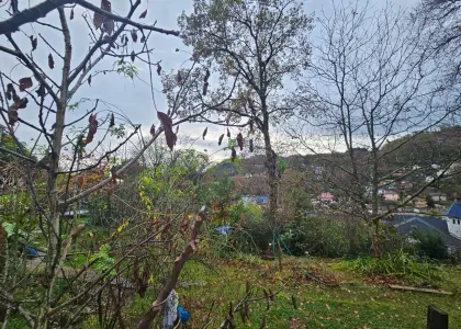 Земельный участок, 4.23 сотки - фото 1