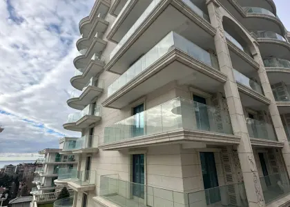 Студия, 36.2 м² - фото 1