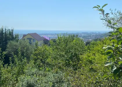 Земельный участок, 8 соток - фото 1