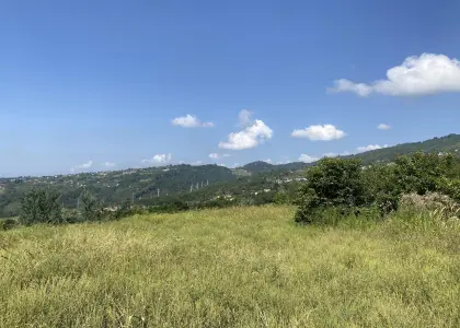 Земельный участок, 10 соток - фото 1