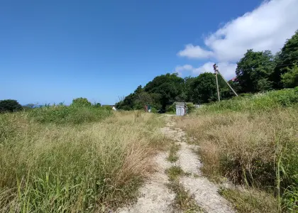 Земля с видом на море - фото 1