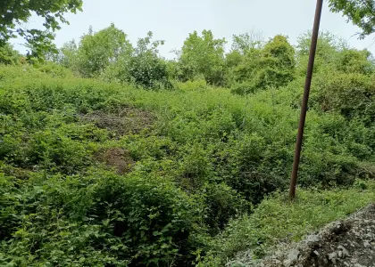 Земельный участок, 5.5 соток - фото 1