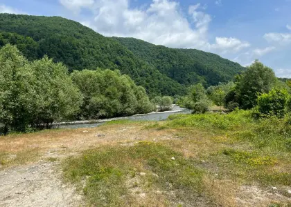 Земельный участок, 55 соток - фото 1