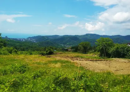 Земельный участок, 42 сотки - фото 1