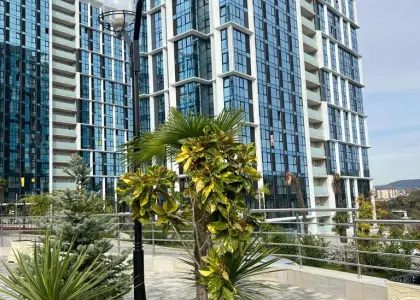 2-комнатная квартира, 45.3 м² - фото 1