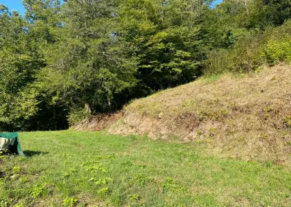 Хоста 14 соток ЗУ - фото 1