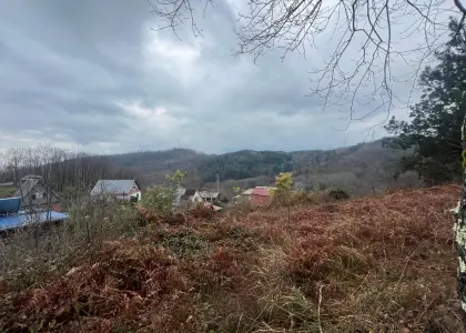 Земельный участок, 4.6 сотки - фото 1