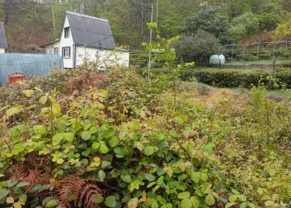 Земельный участок, 5 соток - фото 1