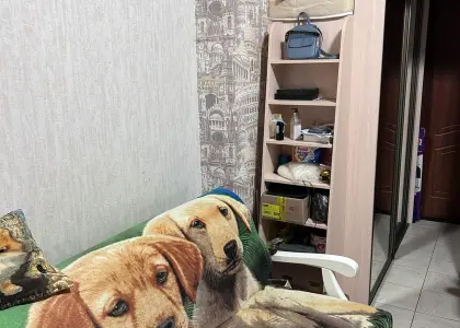 Студия, 21.8 м² - фото 1