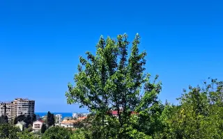 Земельный участок, 12 соток - фото 1