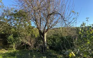 Часть домовладения, 103.8 м² - фото 1