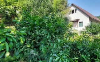 Дом, 95 м² - фото 1