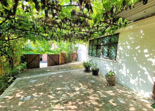 Дом с прекрасным виноградником и садом - фото 1