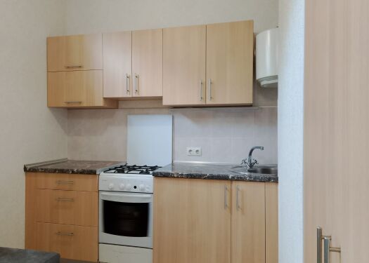 1-комнатная квартира, 21 м² - фото 1