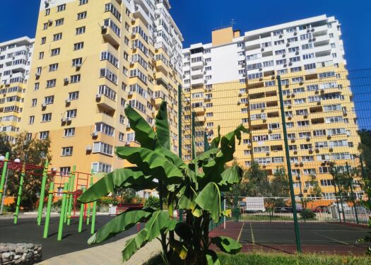 3-комнатная квартира, 90 м² - фото 1